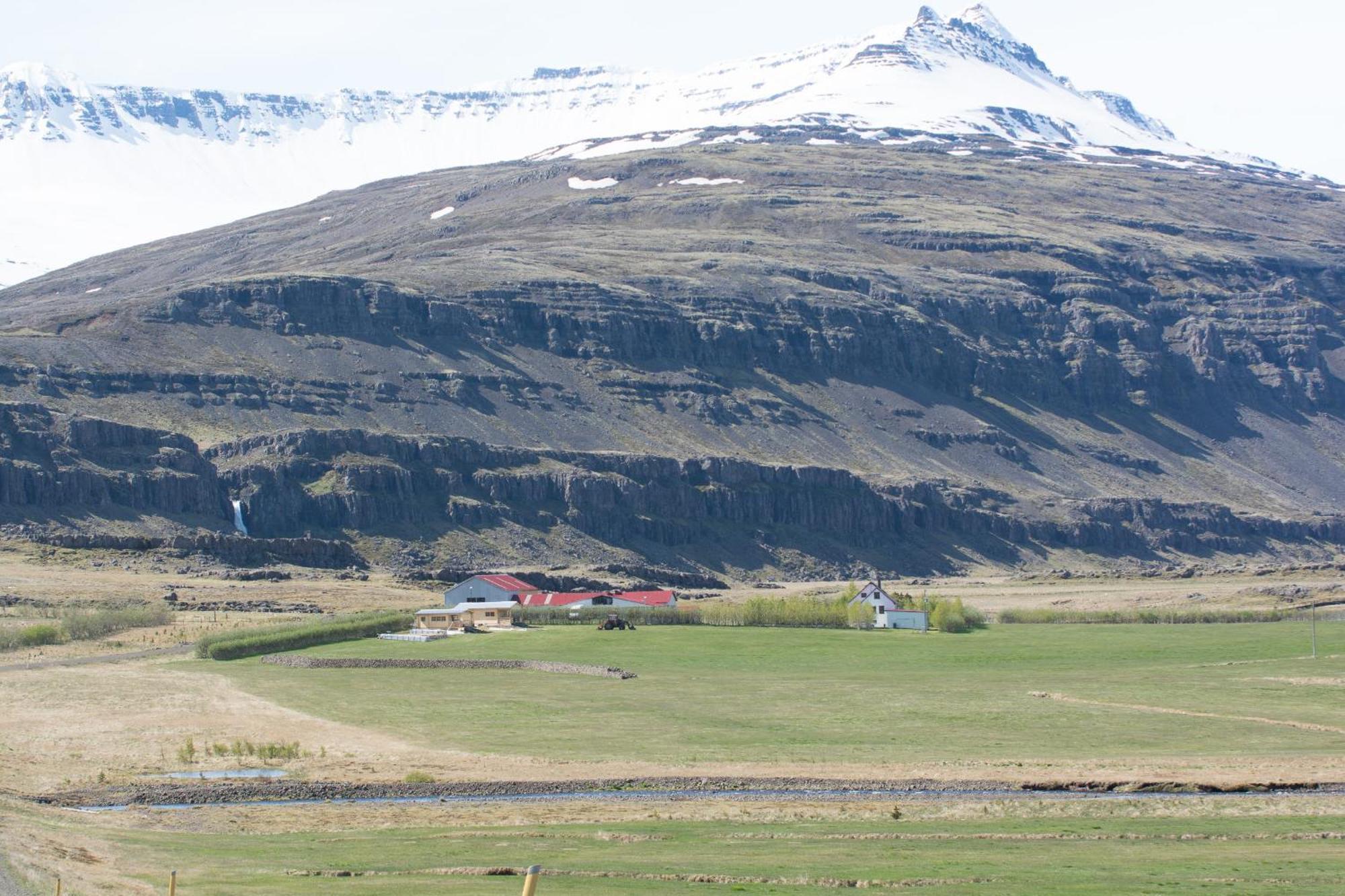 Bragdavellir Cottages Djúpivogur Kültér fotó